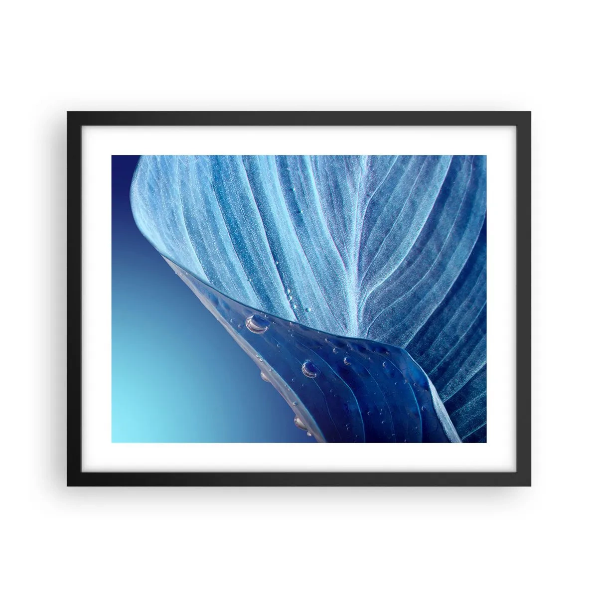 Poster in een zwarte lijst - Verborgen druppels blauw - 50x40 cm