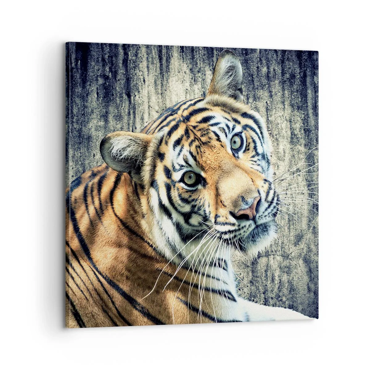 Schilderen op canvas - Portret in stromen van licht - 60x60 cm