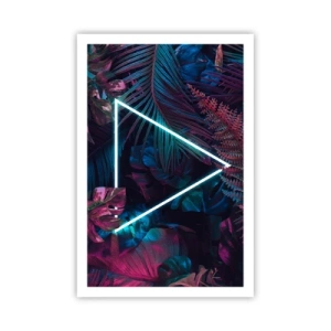 Poster - Disco-achtige tuin - 61x91 cm