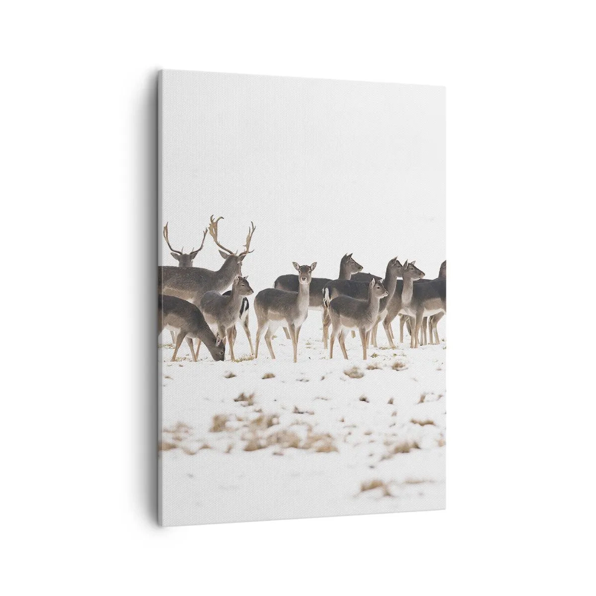 Schilderen op canvas - De kerst komt eraan? - 50x70 cm