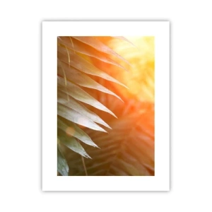 Poster - Ochtend in de jungle - 30x40 cm