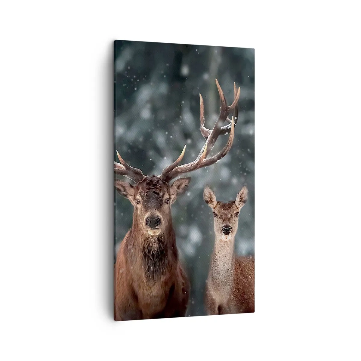 Schilderen op canvas - Heer van het bos met zijn vrouw - 45x80 cm