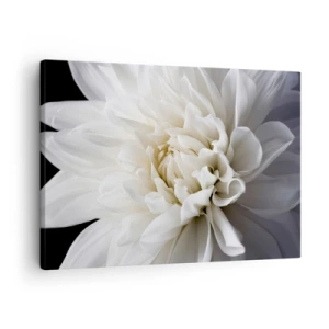 Schilderen op canvas - Een delicate witte bloem op een zwarte achtergrond in een elegante compositie - 70x50cm - Ochtend van de bruid - Moderne wanddecoratie voor woonkamer en slaapkamer ARTTOR