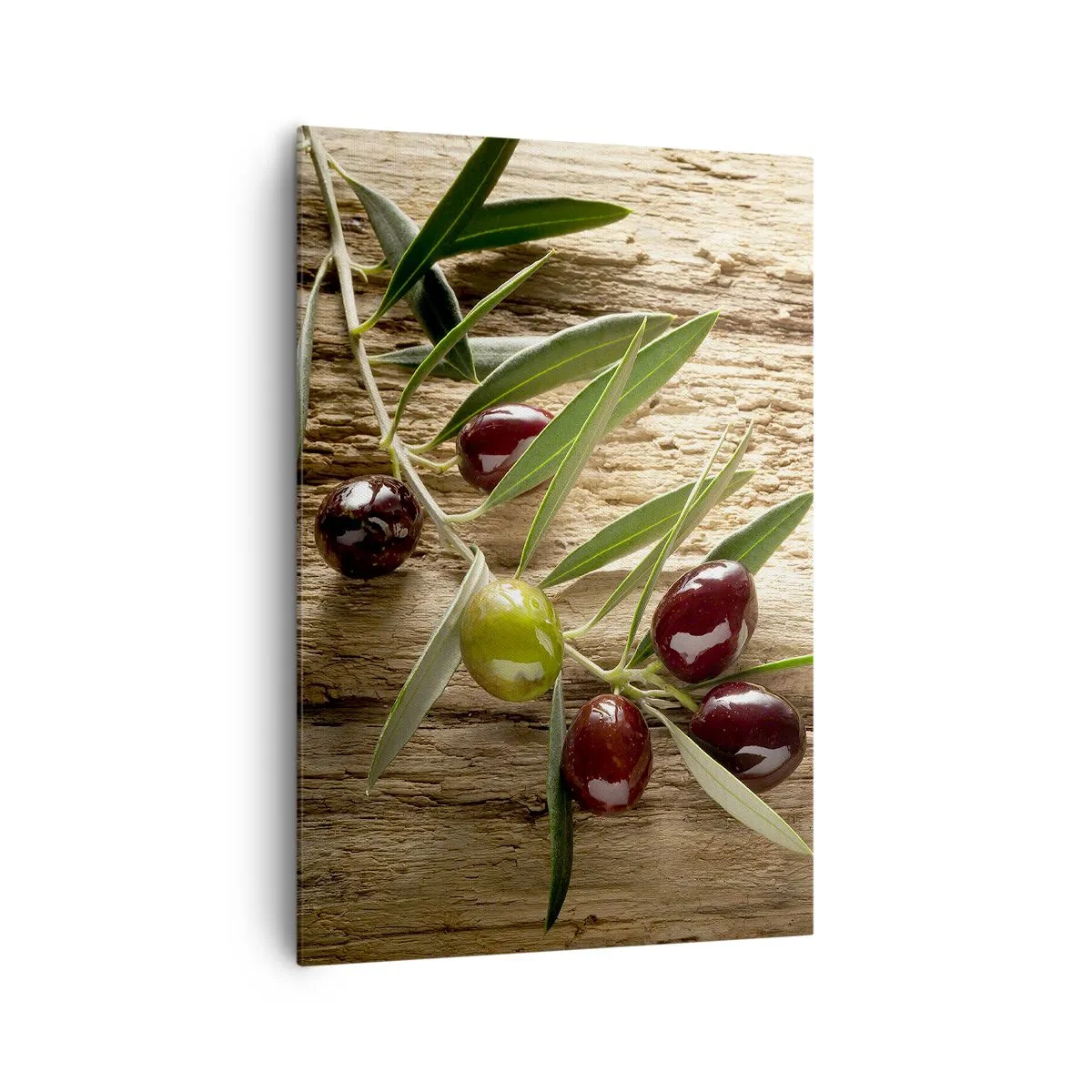 Schilderen op canvas - Rechtstreeks uit de natuur - 70x100 cm