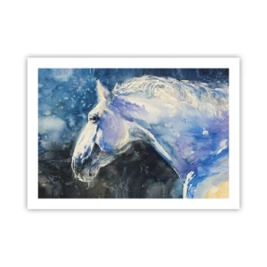 Poster - Portret in een blauwe gloed - 70x50 cm