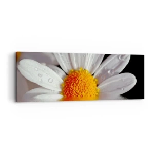 Schilderen op canvas - De rijzende zon van madeliefjes - 90x30 cm