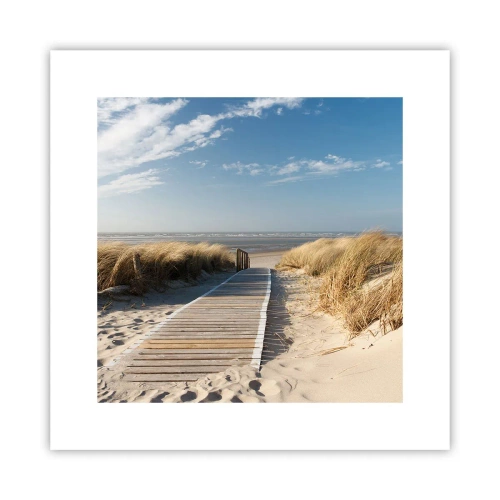 Poster - Achter het duin, in het ruisen van gras - 30x30 cm