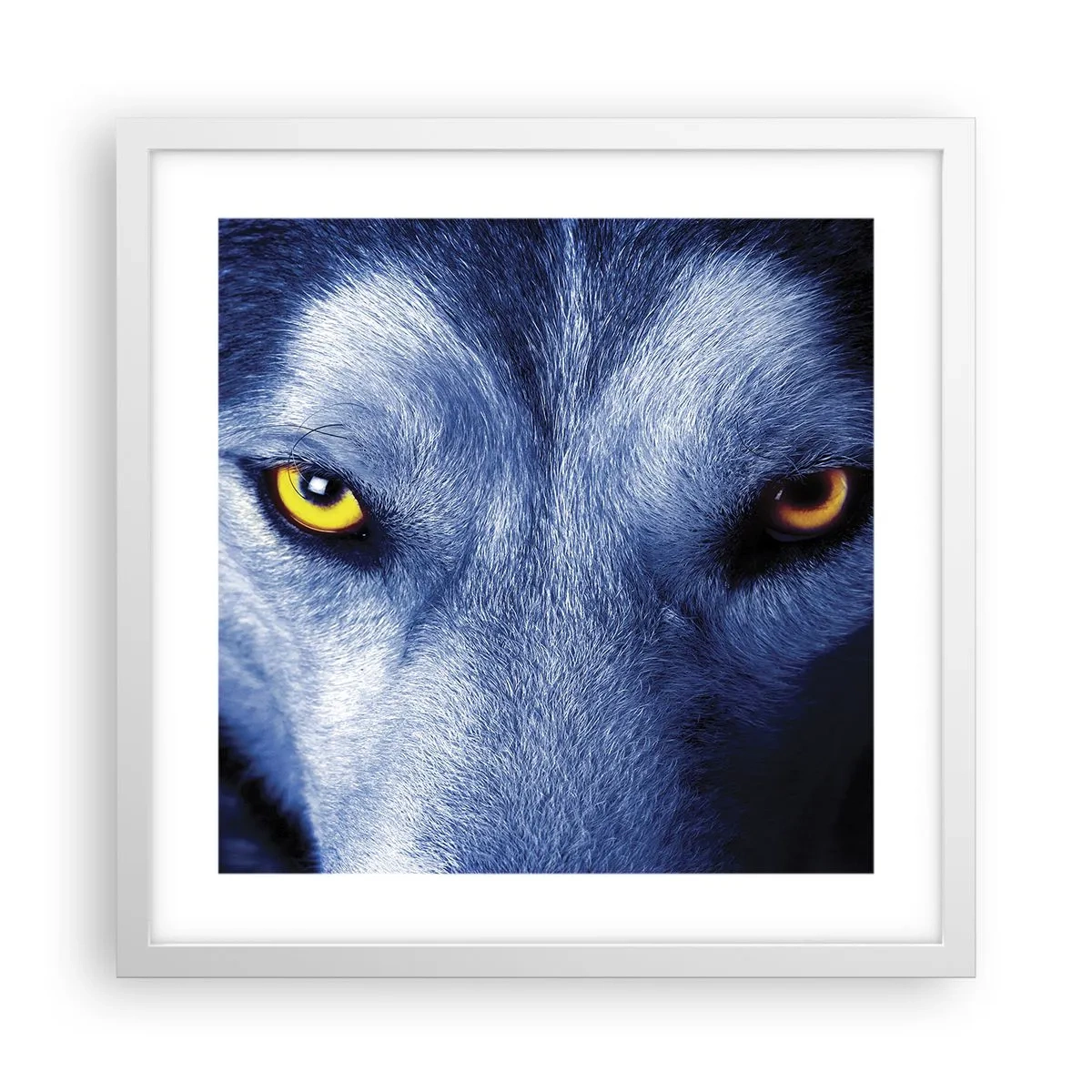 Poster in een witte lijst - Betoverende look - 40x40 cm