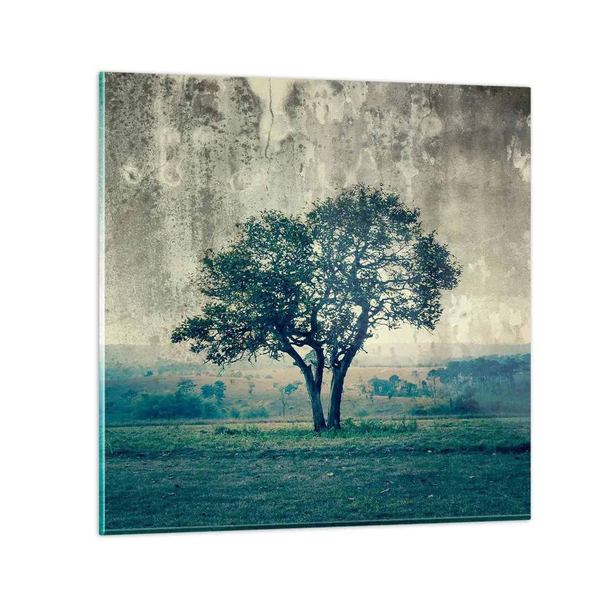 Schilderen op glas - Een appelboom op een blauw veld? - 30x30 cm