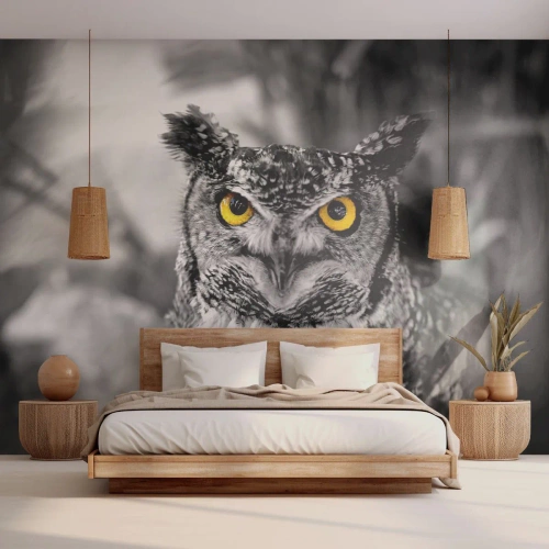 Zelfklevend Fotobehang Deluxe Sticker - Niets zal zich verbergen - Vogels, Uil, Natuur - 100x70 cm