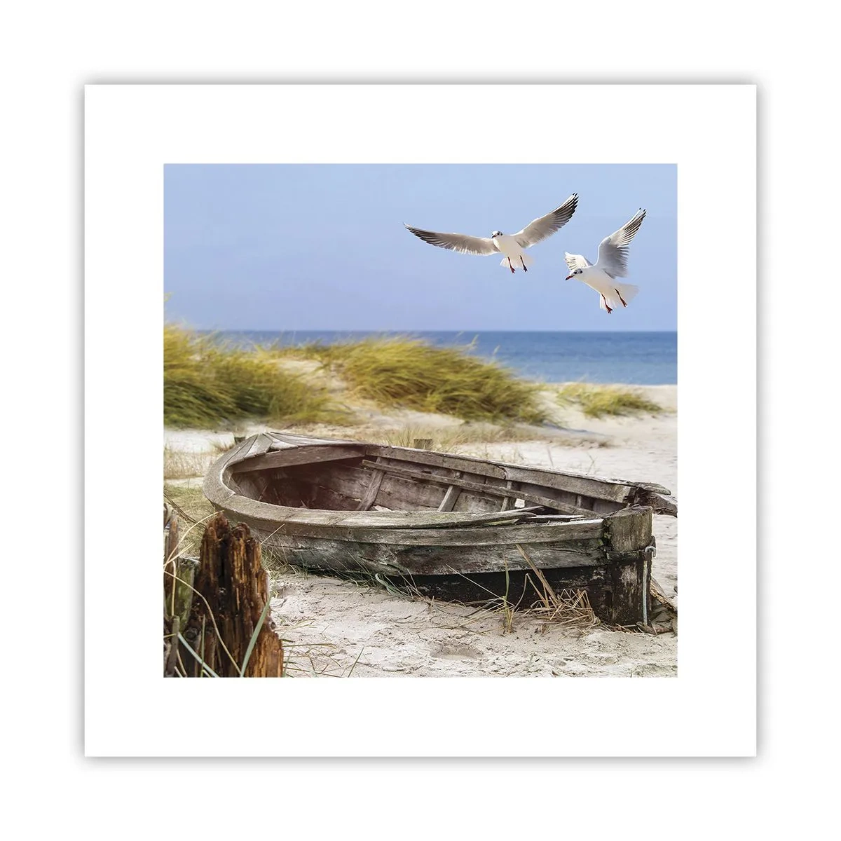 Poster - Badend in de wind - 30x30 cm