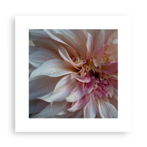 Poster - Bloeiende frisheid - 30x30 cm