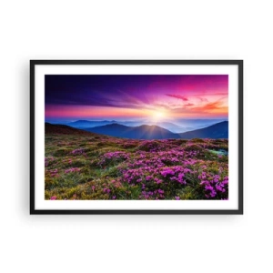 Poster in een zwarte lijst - Kruiden roken naar verse trossen van de velden - 70x50 cm