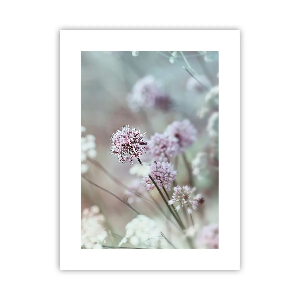 Poster - Zoete filigrane kruiden - 30x40 cm
