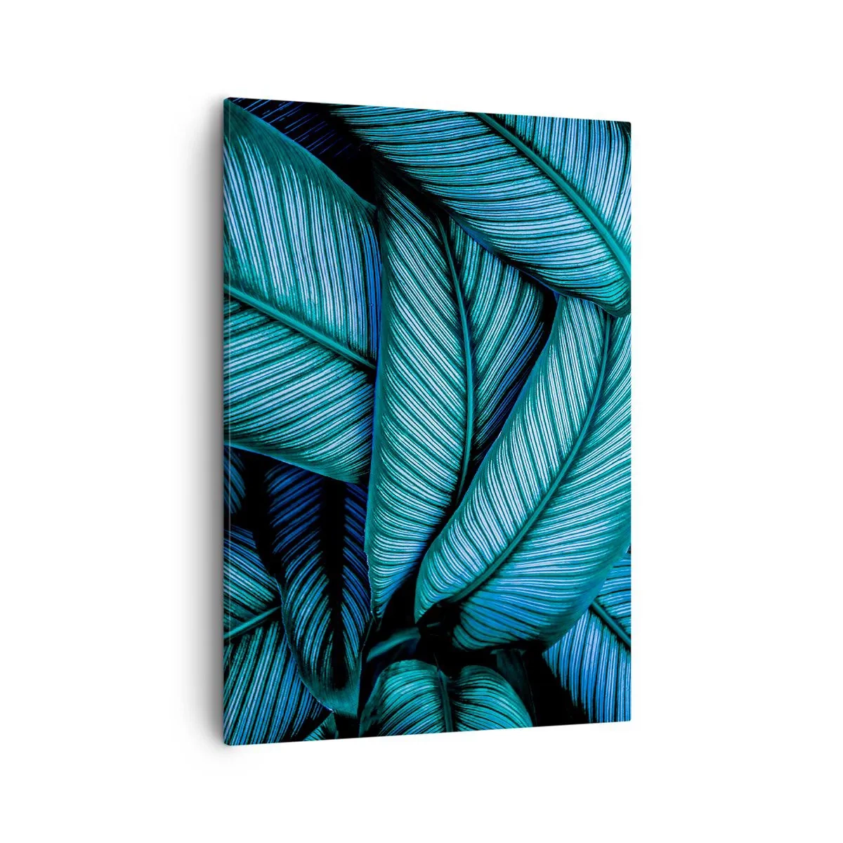Schilderen op canvas - Levens lijnen - 50x70 cm