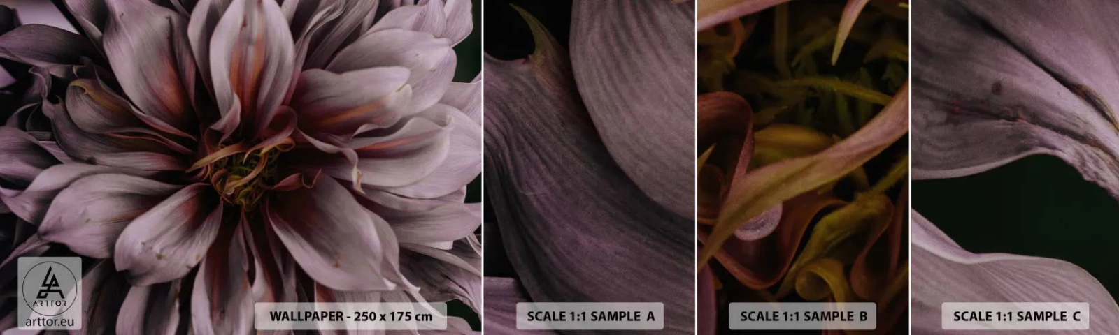 Fotobehang Staaltje Standard Eco - Een bloemenhart - Boeket bloemen, Dahlia, Bloem - 100x30 cm