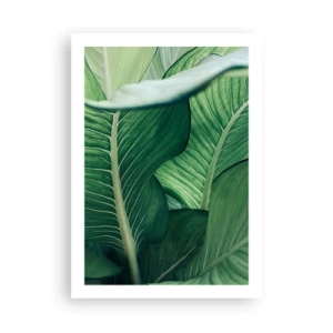 Poster - Intens groen leven - 50x70 cm