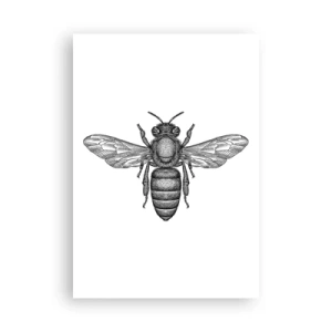 Poster - Insectenportret - 70x100 cm