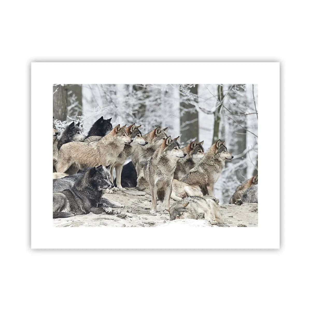 Poster - Familie en vrienden - 40x30 cm