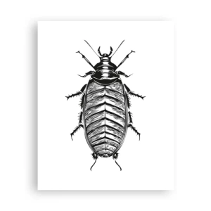 Poster - Wat een exemplaar! - 40x50 cm