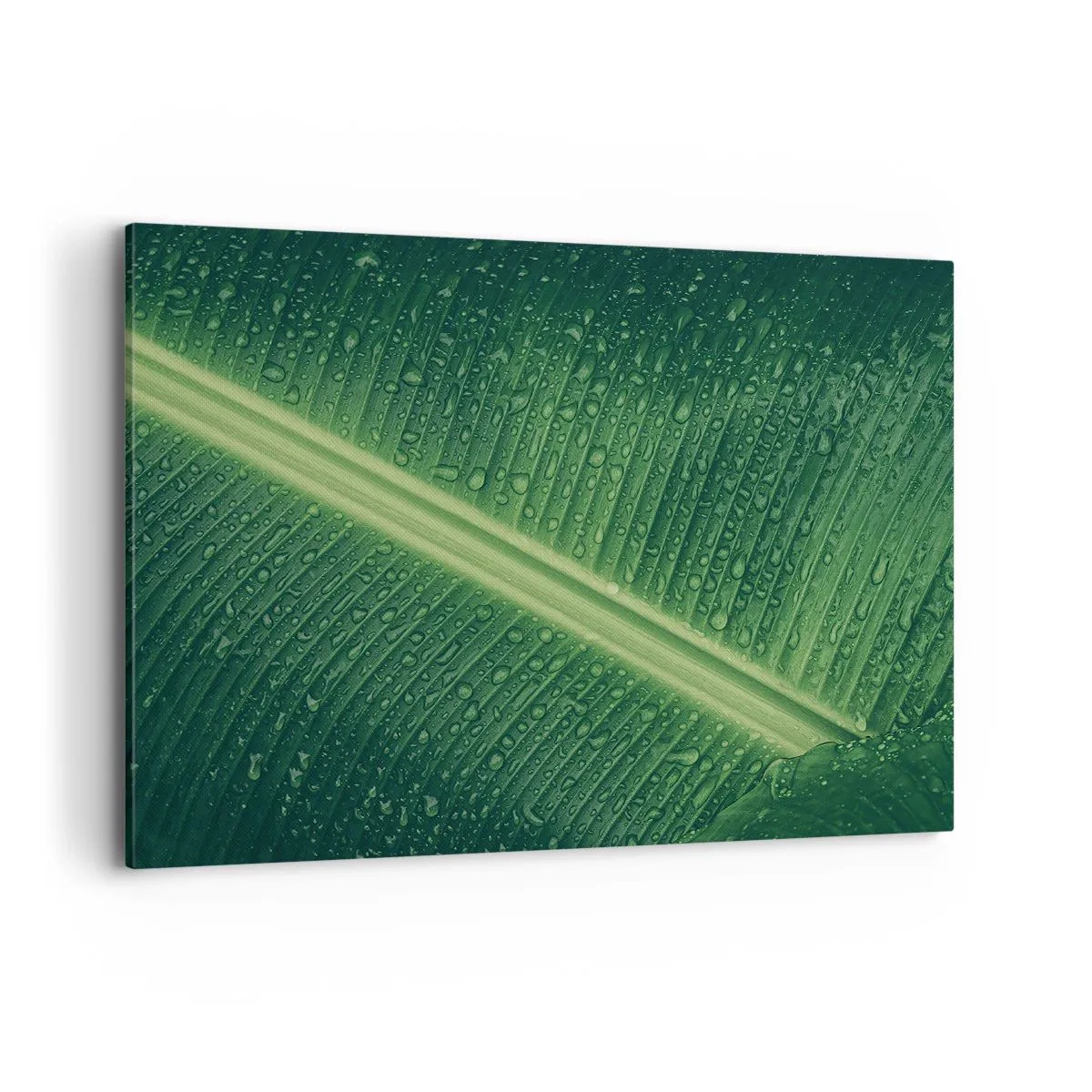 Schilderen op canvas - De structuur van groen - 100x70 cm