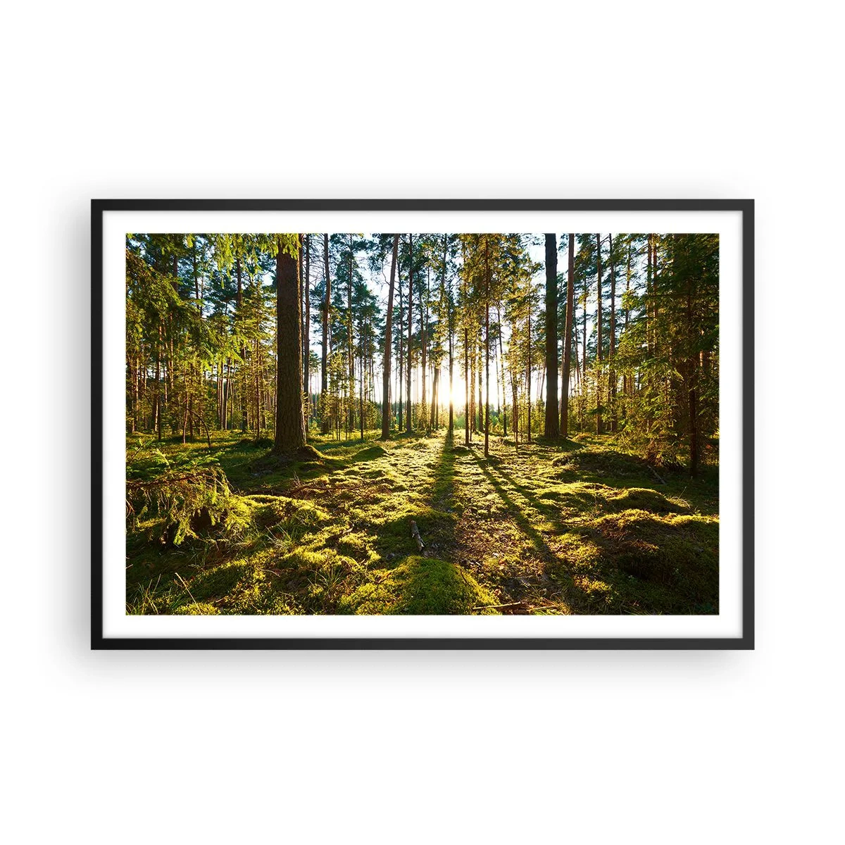 Poster in een zwarte lijst - … Achter de zeven bossen - 91x61 cm