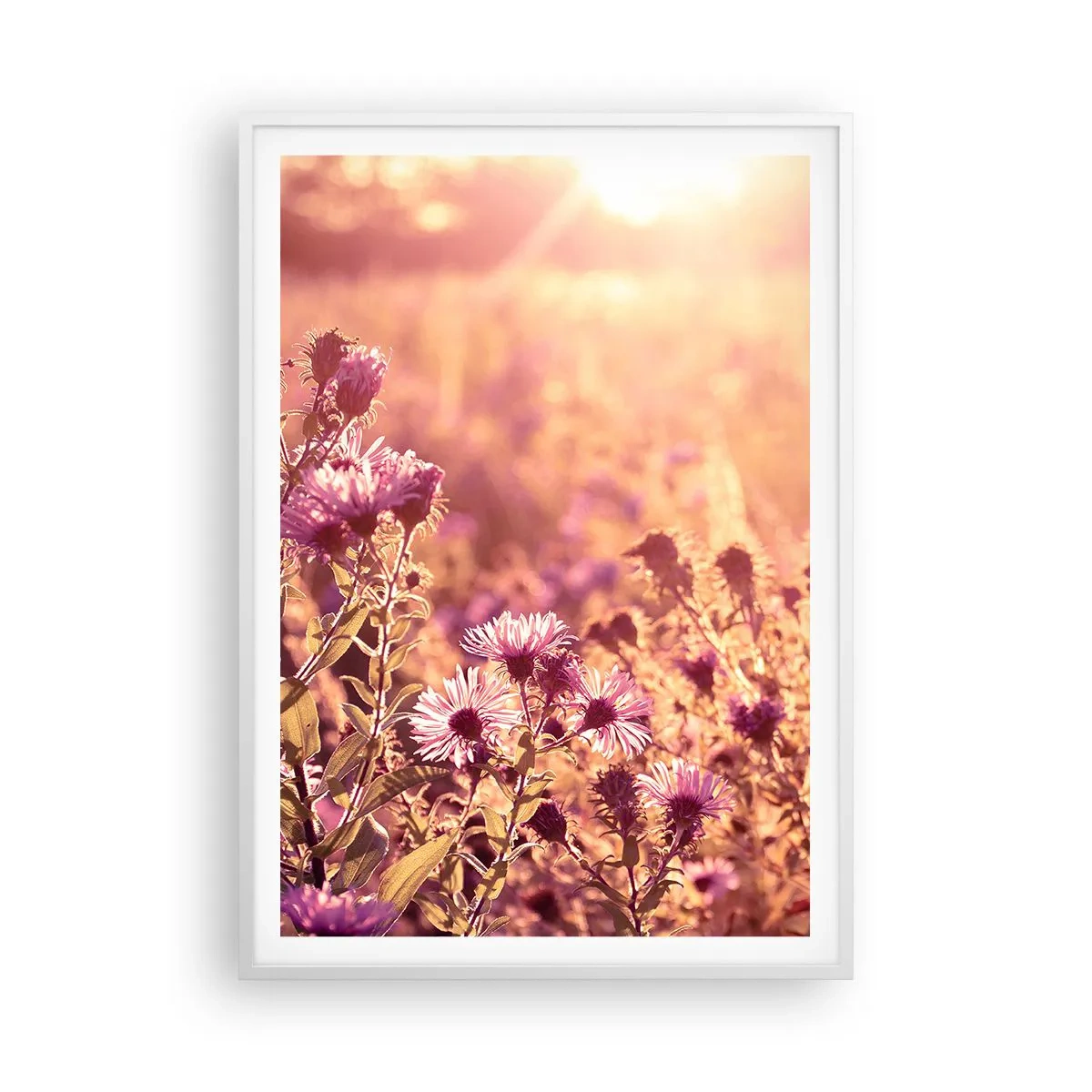 Poster in een witte lijst - Voordat de zomer voorbij is - 70x100 cm