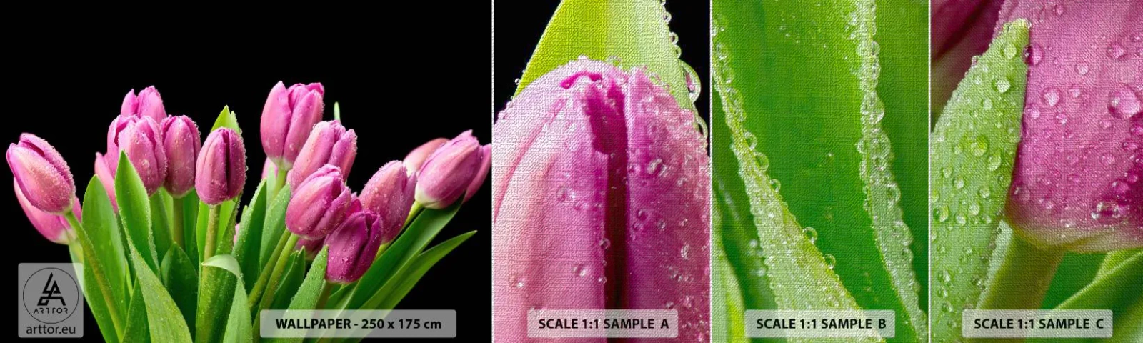 Fotobehang Monster Premium Canvas - Lila vreugde van de lente - Bloemen, Tulpen, Boeket bloemen - 100x30 cm