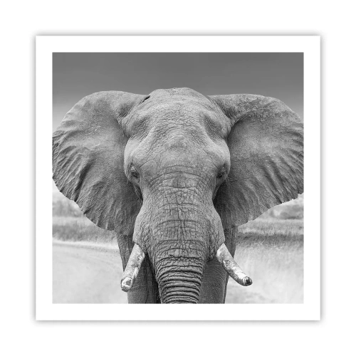 Poster - Welkom in mijn wereld - 60x60 cm
