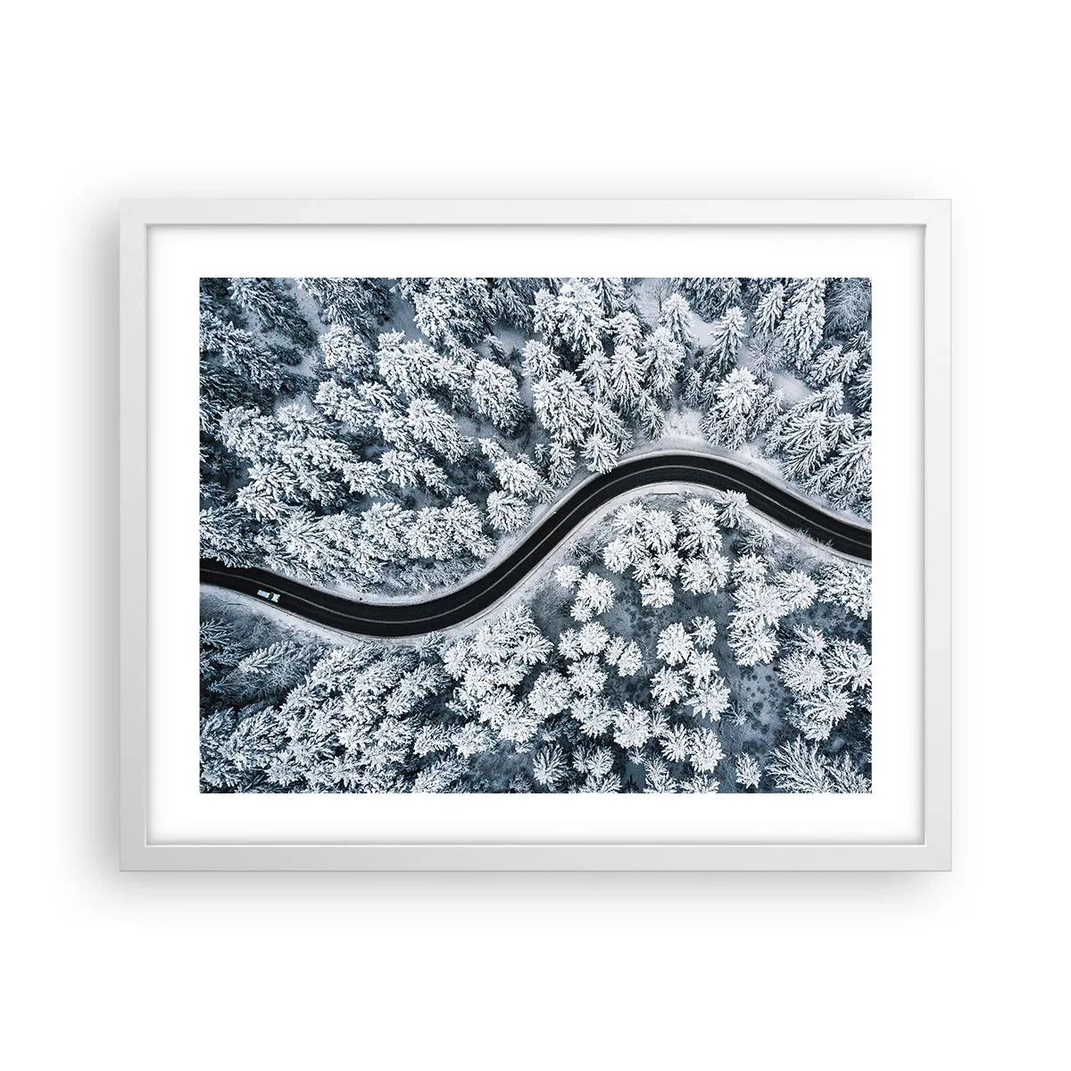 Poster in een witte lijst - Door het winterbos - 50x40 cm