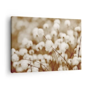 Schilderen op canvas - Een veld met delicate sepia-getinte planten - 70x50cm - Pluizig korenveld - Moderne wanddecoratie voor woonkamer en slaapkamer ARTTOR
