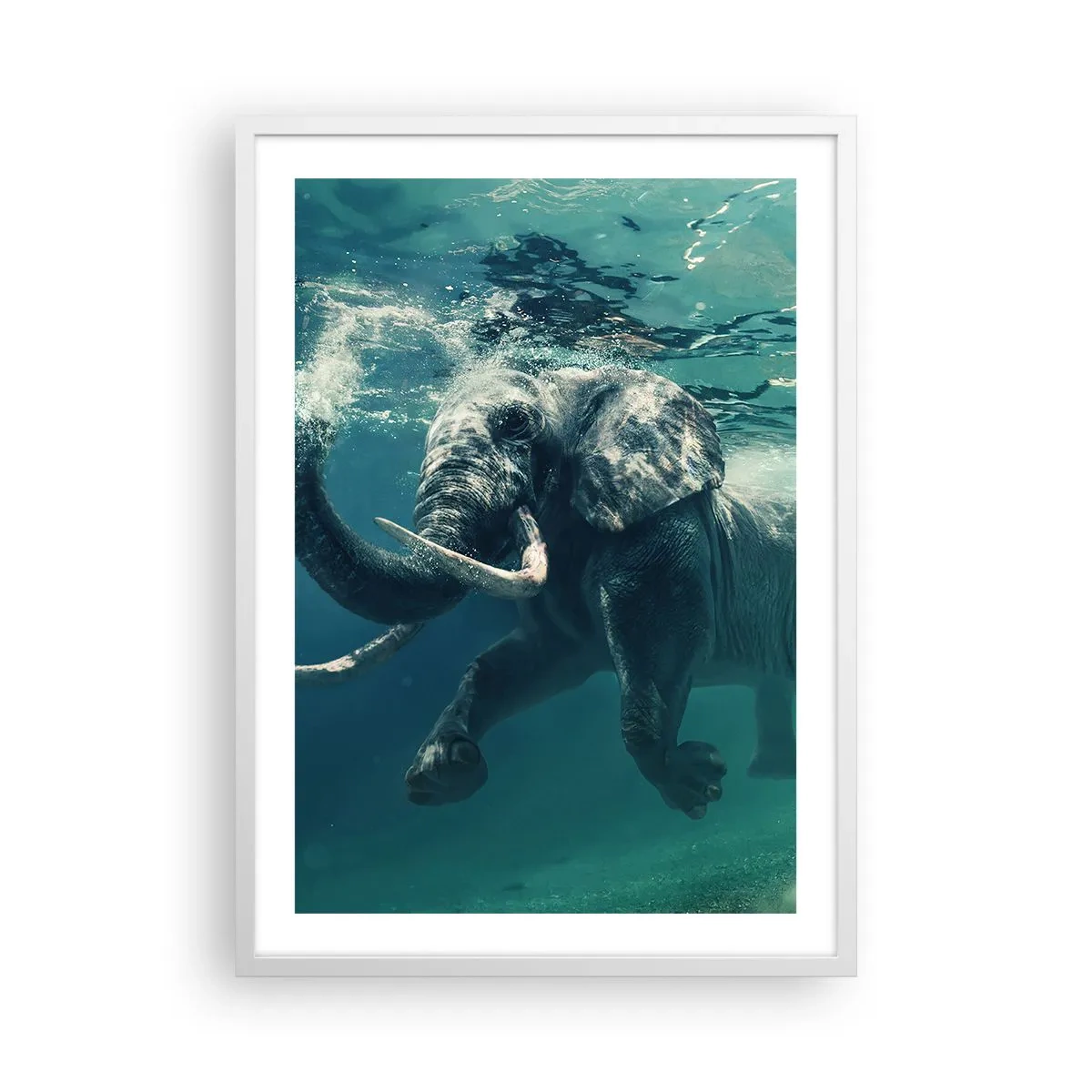 Poster in een witte lijst - Iedereen houdt van zwemmen - 50x70 cm