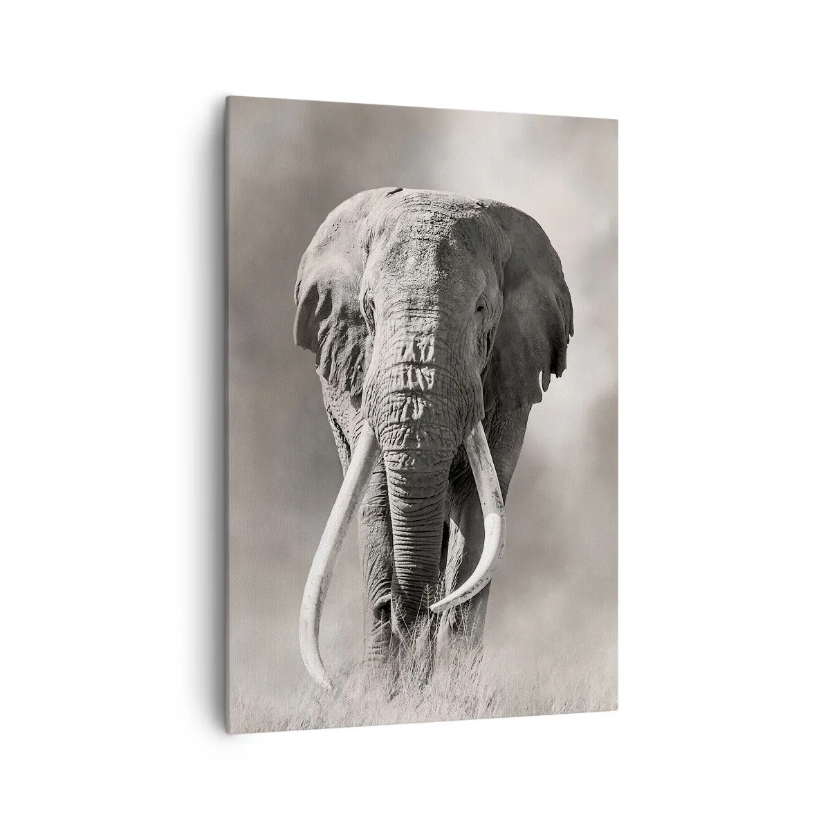 Schilderen op canvas - Afrikaanse patriarch - 70x100 cm