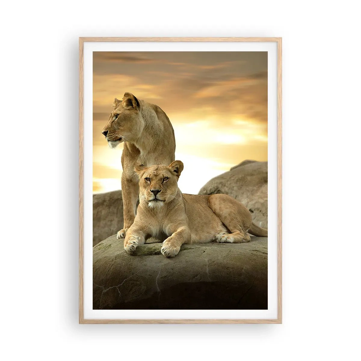Een poster in een licht eiken lijst - Koninklijke majesteit - 70x100 cm
