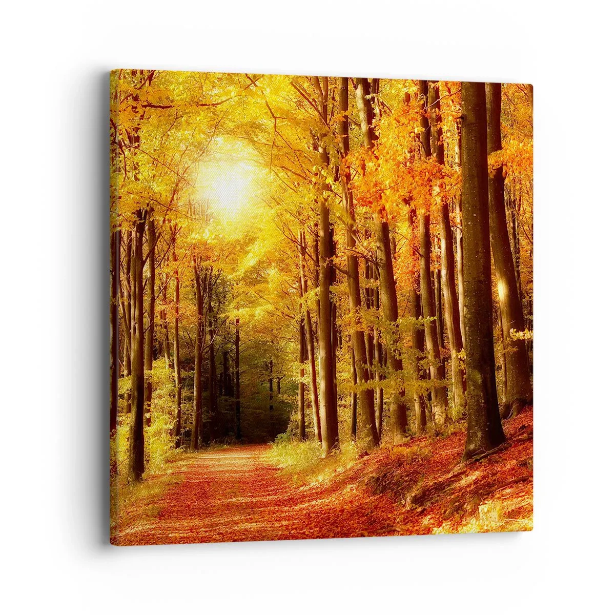Schilderen op canvas - Gouden herfst op een bosweg - 40x40 cm