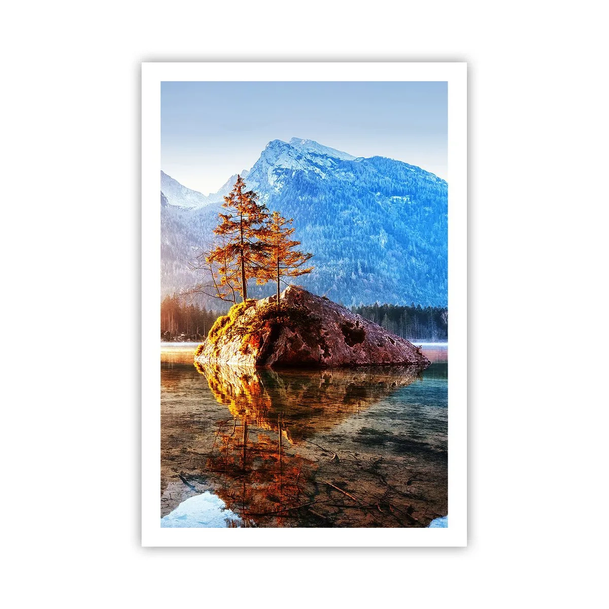 Poster - De natuur in een nieuw licht - 61x91 cm