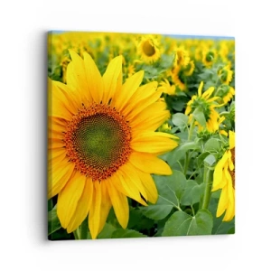 Schilderen op canvas - Honderden zonnen vlamden op - 30x30 cm