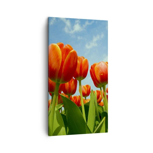 Schilderen op canvas - Afgezien van de blauwe lucht hebben ze niets nodig in hun leven - 45x80 cm