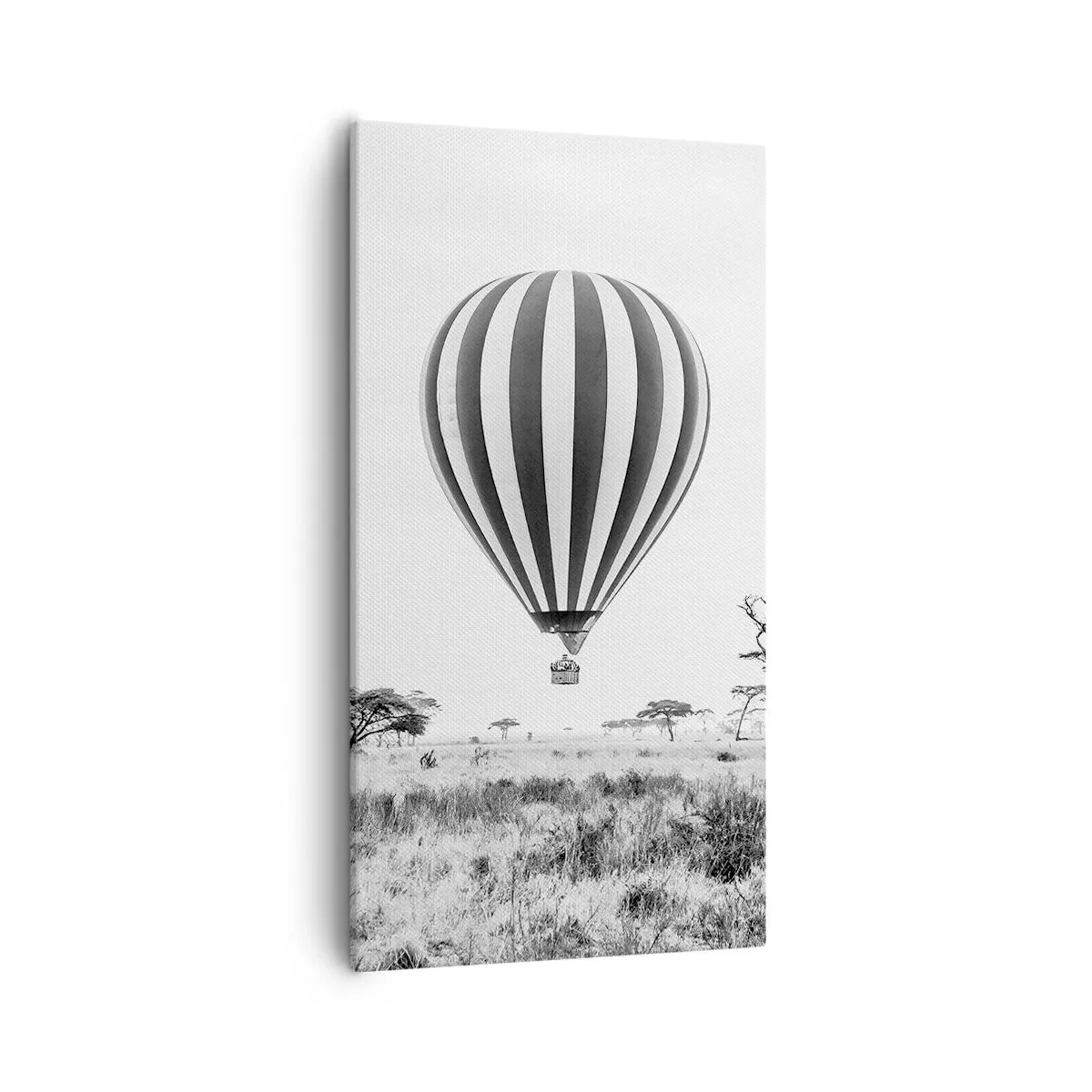 Schilderen op canvas - Boven de savanne - 55x100 cm