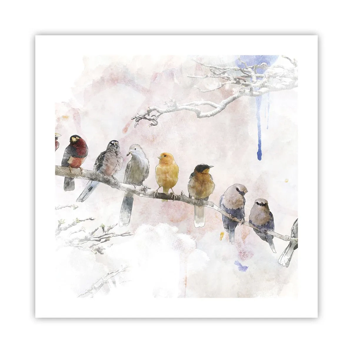 Poster - Gevleugelde ontmoeting - 50x50 cm