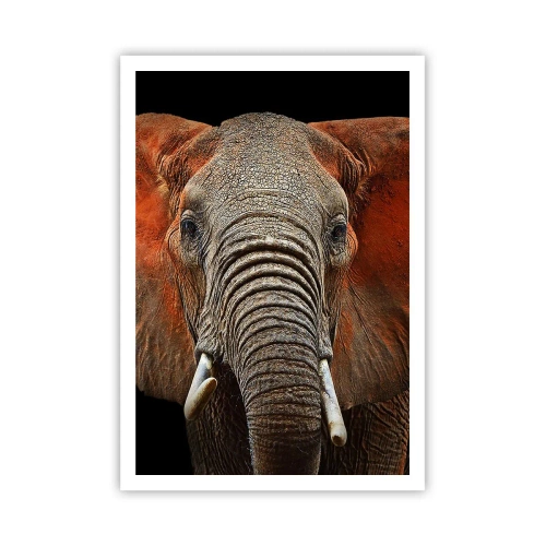 Poster - Ik ben wild, en jij? - 70x100 cm