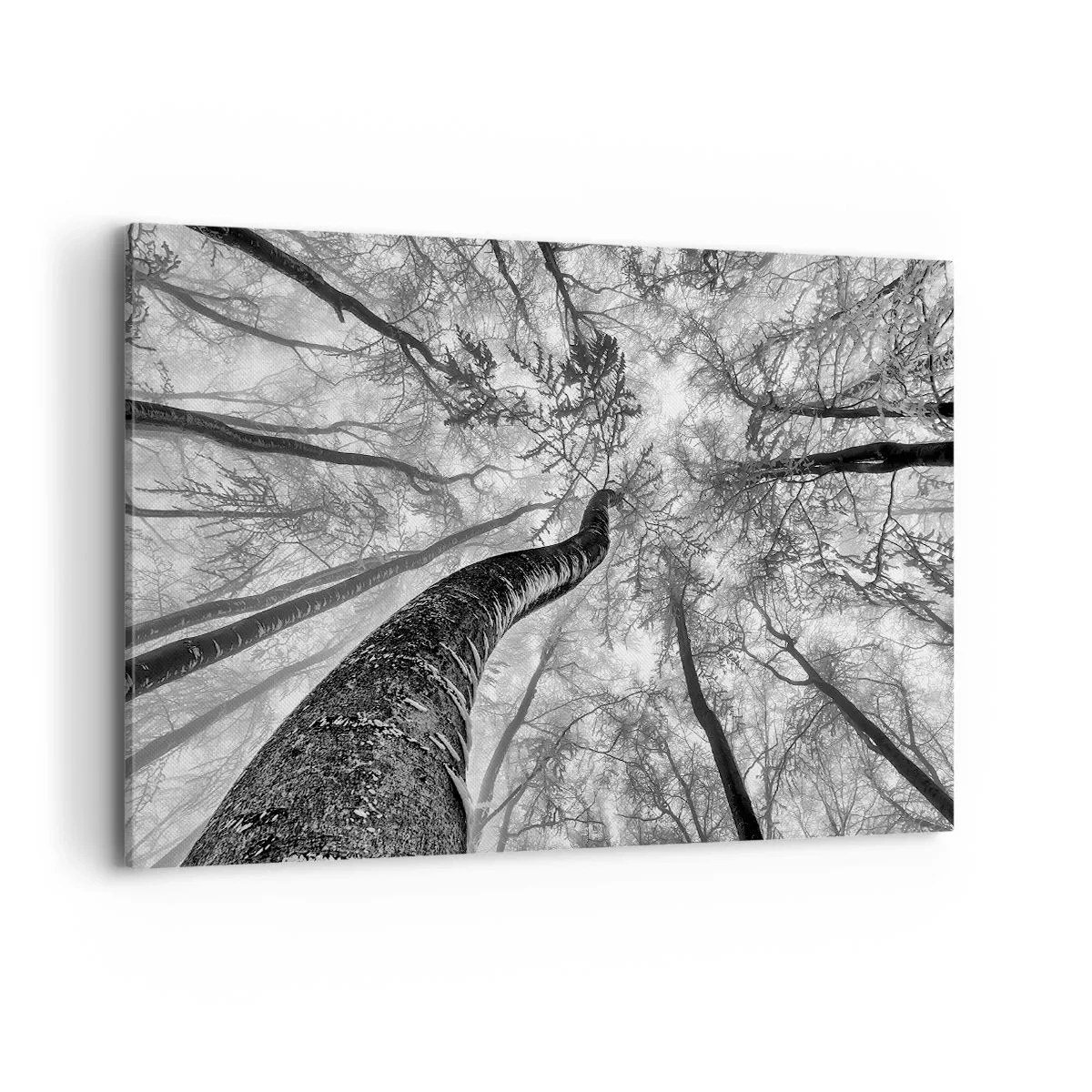 Schilderen op canvas - Race naar het licht - 120x80 cm