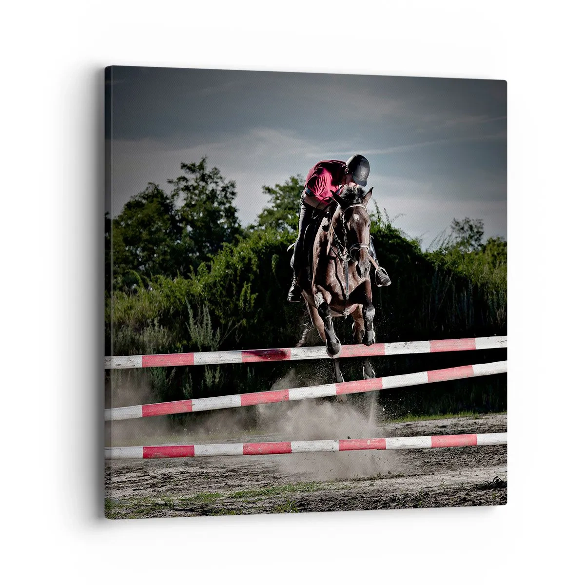 Schilderen op canvas - Samen naar de overwinning - 40x40 cm