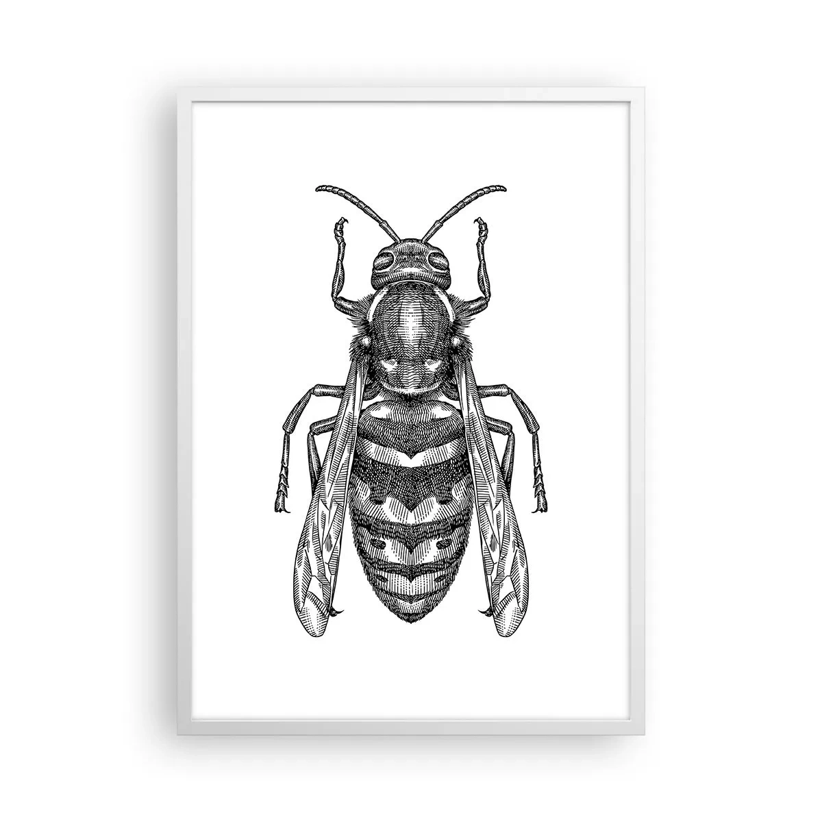 Poster in een witte lijst - Van een insectenplaneet - 50x70 cm