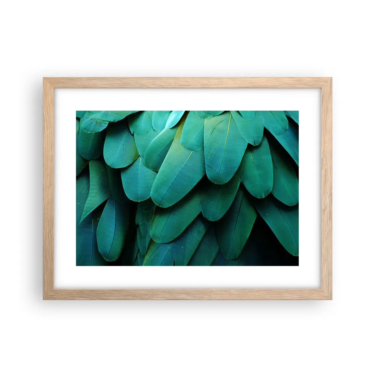 Een poster in een licht eiken lijst - Papegaaiachtige precisie - 40x30 cm