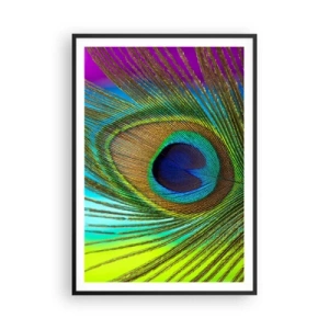 Poster in een zwarte lijst - Oog in oog - 70x100 cm