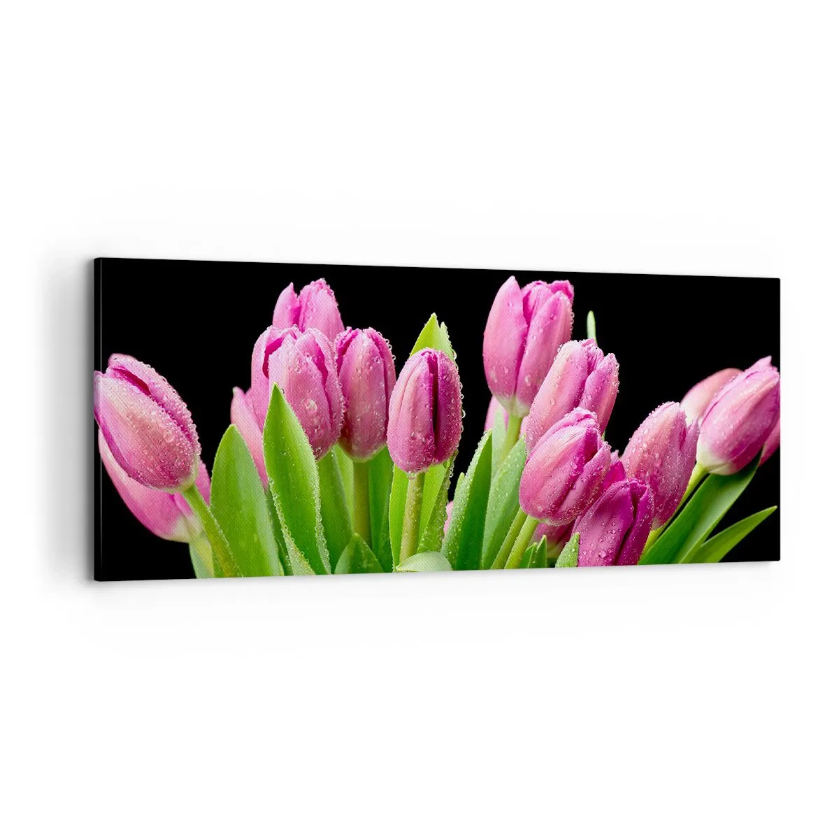 Schilderen op canvas - Lila vreugde van de lente - 100x40 cm