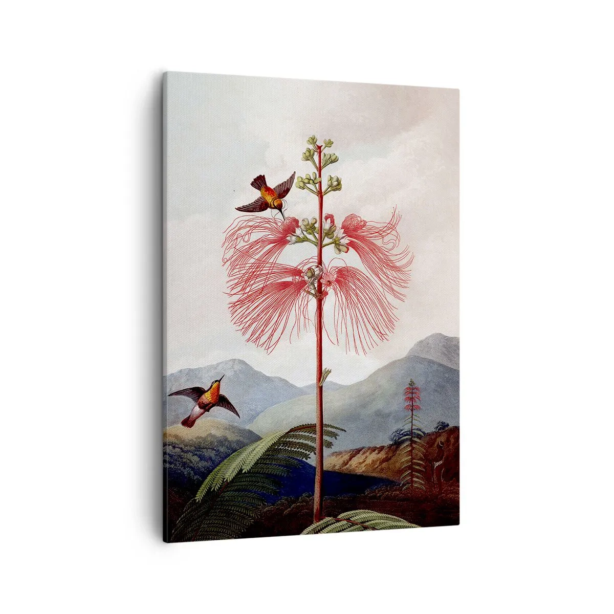 Schilderen op canvas - In een tropisch paradijs - 50x70 cm