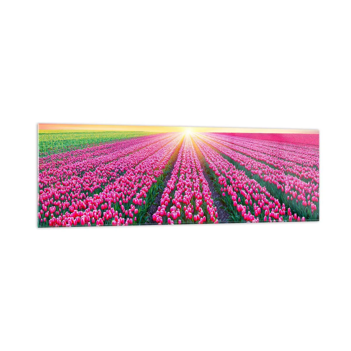 Schilderen op glas - Beautyfarm - 160x50 cm