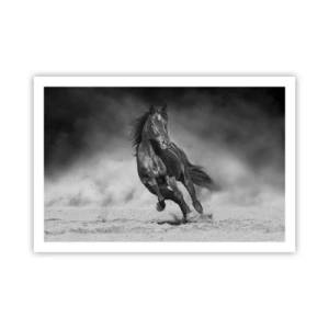 Poster - De emir zelf waardig - 91x61 cm